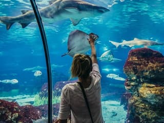 Hurghada Grand Aquarium: Entry Ticket + Roundtrip Transport — gallery 2