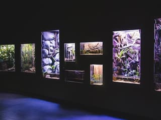Cairns Aquarium: Entry Ticket — gallery 3