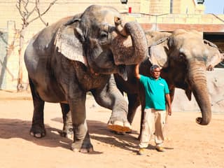 Emirates Park Zoo Tickets — gallery 1