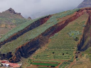 Masca & Teno: Small Group Guided Tour + Transfer + Tasting — gallery 1