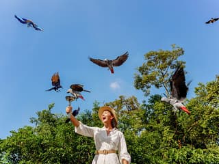 Bird Paradise Tickets | Mandai Wildlife Reserve — gallery 1