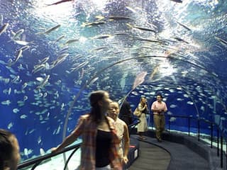 Hurghada Grand Aquarium: Entry Ticket + Roundtrip Transport — gallery 3