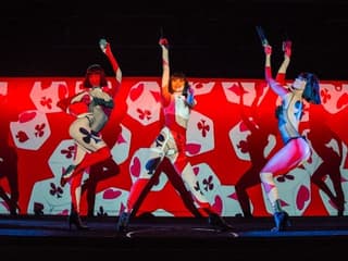 Crazy Horse Paris: Show Only — gallery 2