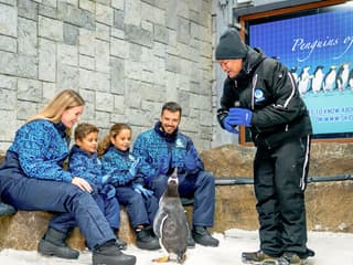 Ski Dubai: Snow Premium Tickets with Penguin Encounter — gallery 3
