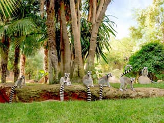 Bioparc Fuengirola Tickets — gallery 3