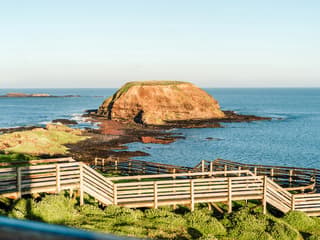 From Melbourne: Half/Full-Day Phillip Island Day Trip with Penguin Parade — gallery 1