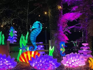 Zoo Atlanta: IllumiNights — gallery 1