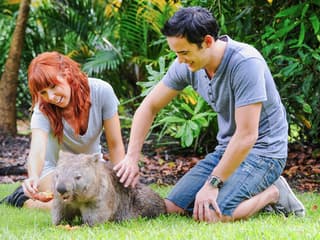 From Brisbane: Australia Zoo Tickets with Transfers — gallery 2