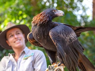 Currumbin Wildlife Sanctuary Tickets at Currumbin Wildlife Sanctuary, Gold Coast, photo 2