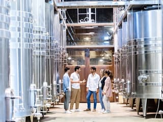 Toledo: City & Winery Tour from Madrid + Wine Tasting — gallery 3