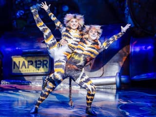 Cats — gallery 2