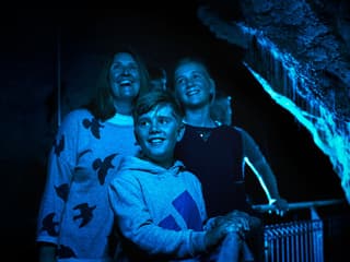 Geführte Tour durch die Waitomo-Glühwürmchenhöhlen, Waitomo Caves, Waitomo