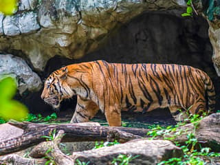 Safari World + Marine Park Tickets with Lunch and Optional Transfers — gallery 2
