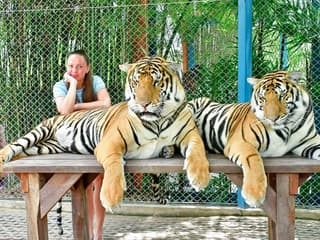 Tiger Park Tickets with Tiger Play Packages: Non-Thai Residents — gallery 3