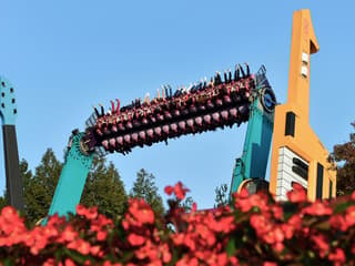 Everland Theme Park Tickets — gallery 1