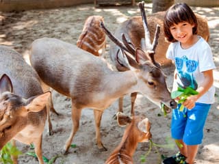 Bali Zoo Tickets + Breakfast with Orangutans — gallery 3