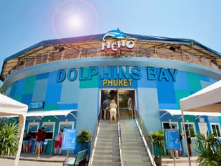 Phuket Dolphin Show Tickets: Foreigners — gallery 1