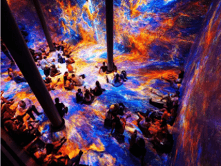 ARTECHOUSE: Beyond the Light — gallery 3