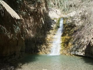 Masada, Ein Gedi & Dead Sea: Roundtrip from Tel Aviv — gallery 3