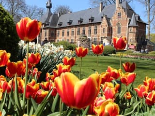 Groot-Bijgaarden Castle: Floralia Brussels Entry Ticket — gallery 1