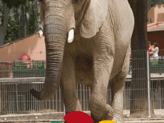 Tickets to Barcelona Zoo — gallery 1