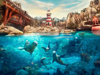 SeaWorld Abu Dhabi Tickets — gallery 2