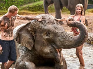 Bali Zoo Tickets with Elephant Feeding & Mud Bath — gallery 1