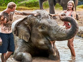 Bali Zoo Combo: Entry Ticket, Breakfast with Orangutans & Elephant Mud Fun — gallery 2