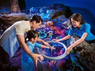 SEA LIFE Bangkok Tickets — gallery 3