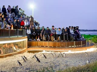 From Melbourne: Brighton Beach, Moonlit Sanctuary & Phillip Island Day Trip with Penguin Parade — gallery 1
