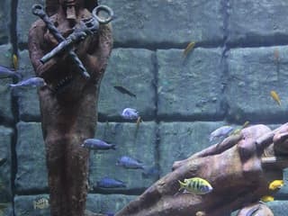 Antalya Aquarium & Face 2 Face Wax Museum — gallery 1