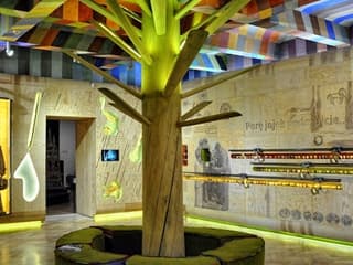Krakow Ethnographic Museum: Entry Ticket — gallery 1
