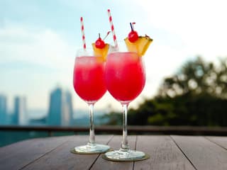 Singapore Cable Car SkyPass with Meals at Arbora Cafe — gallery 3