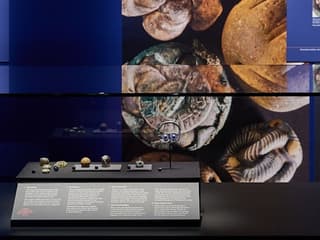 Melbourne Museum: Treasures of the Viking Age - The Galloway Hoard — gallery 3
