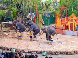 Safari World + Marine Park Tickets with Lunch and Optional Transfers — gallery 1