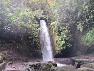 Ubud: Privat rundtur med guide + transport, Ubud
