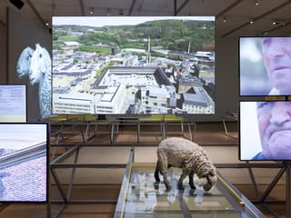 Stedelijk Museum Skip-the-Line Tickets — gallery 2