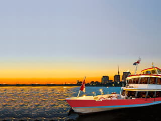 Evening Themed Cruise on Danube River with Dinner & Live Music — gallery 1