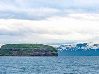 Husavik: Whale Watching and Puffin Tour on RIB speedboat — gallery 3