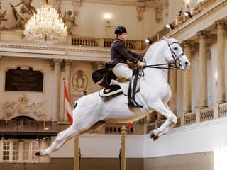 Spanish Riding School Performance of the Lippizans (70 min) — gallery 1
