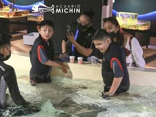 Michin Aquarium Puebla: Entry Ticket — gallery 1