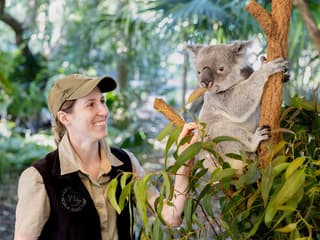 Lone Pine Koala Sanctuary Tickets with Brisbane River Cruise — gallery 1