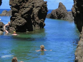 Enchanted Terraces: Guided Madeira Excursion — gallery 1