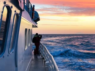 From Reykjavik: Midnight Sun Whale Watching Tour — gallery 1