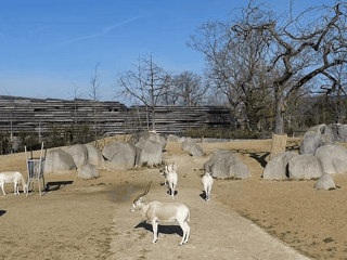 Paris Zoological Park: Entry Ticket — gallery 3