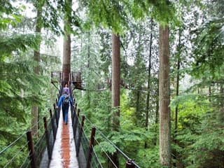 Vancouver: Guided Tour + Capilano Suspension Bridge Park Visit + Lunch — gallery 1
