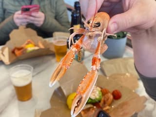 Dublin Coastal Craft Beer and Seafood Trail: Guided Tour — gallery 2