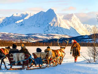 Reindeer Sledding & Sami Culture Guided Tour with Hot Drinks & Meal — gallery 1