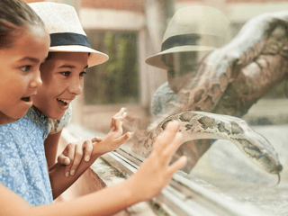 Bioparco - Zoo of Rome: Open Ticket — gallery 3