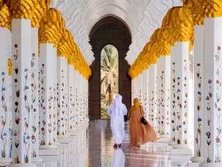 From Dubai: Abu Dhabi Full-Day City Tour with Louvre Museum & Sheikh Zayed Grand Mosque — gallery 2